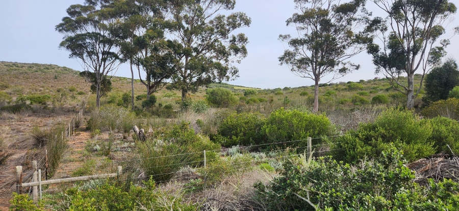 0 Bedroom Property for Sale in Riversdale Rural Western Cape